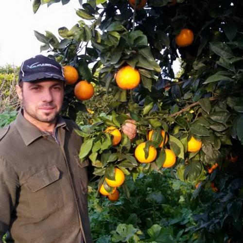 Arance Siciliane