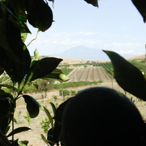 veduta etna